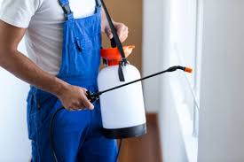 Best Pest Control for Multi-Family Homes  in Hemphill, TX